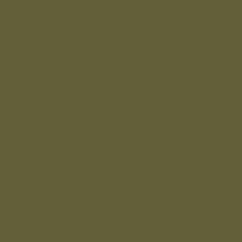 Olive Khaki (Оливковый хаки)